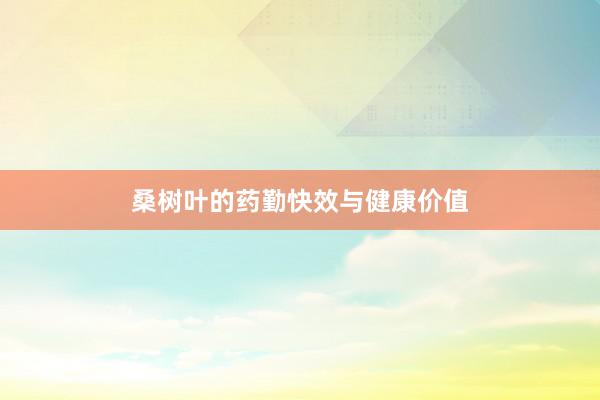 桑树叶的药勤快效与健康价值